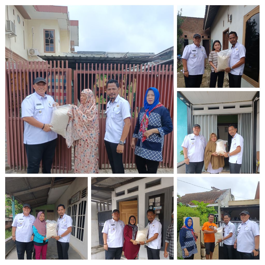 IMG_20250226_165234-COLLAGE