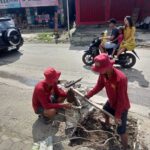 IMG-20250311-WA0191