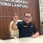 deni wibowo