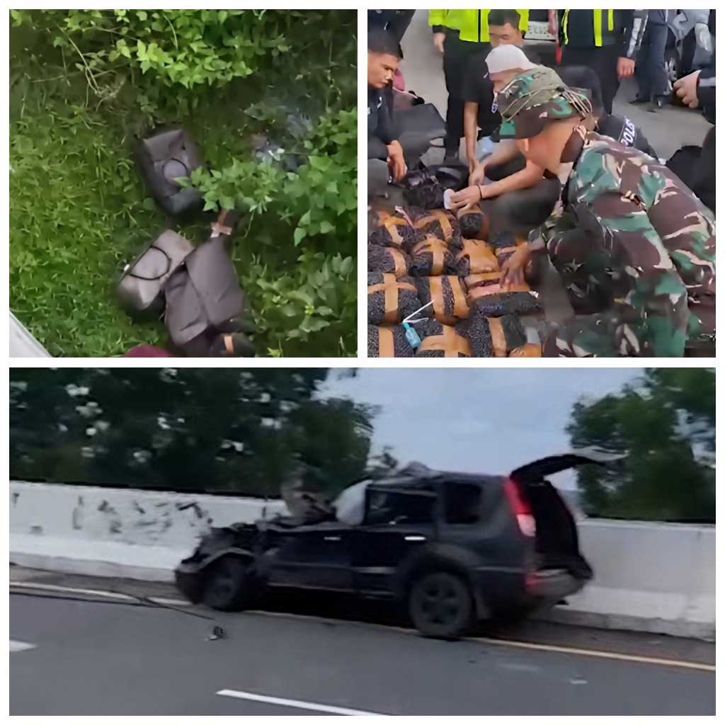 GridArt_20251121_091021647