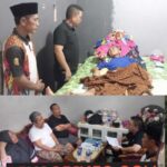 Sab_17_01_2026_15_28_11