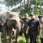 Screenshot_20260221-202750