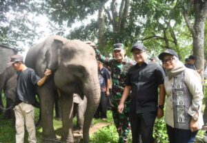 Screenshot_20260221-202750