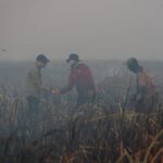 Gubernur Mirza Pastikan Kebakaran Braja Harjosari Terkendali, Api Dicegah Masuk TN Way Kambas