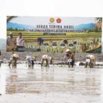 Tanam Perdana di Tulang Bawang, Danrem 043/Gatam Tegaskan Komitmen Swasembada Pangan