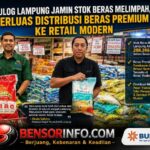 BULOG Lampung Jamin Stok Beras Melimpah, Perluas Distribusi Beras Premium ke Retail Modern