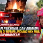 Damkarmat Lampung Selatan Terjunkan Personel dan Armada, Kebakaran di Hutan Lindung Way Muli Berhasil Dipadamkan